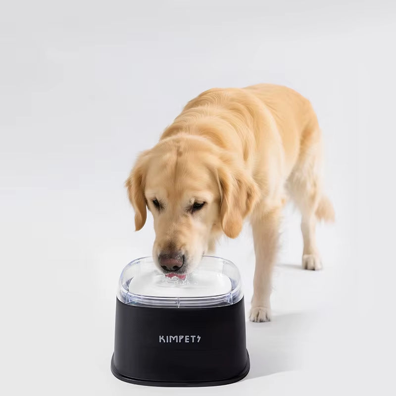Bebedero Antisalpicaduras Para Perros De 2 Litros